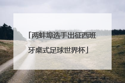 两蚌埠选手出征西班牙桌式足球世界杯